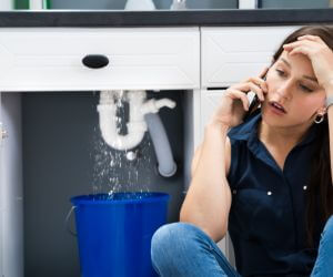 About Septic Pumping Service Syria, VA